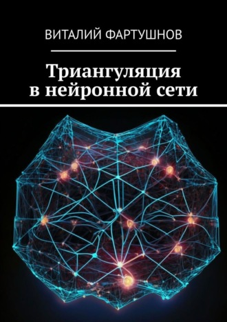 Виталий Фартушнов. Триангуляция в нейронной сети