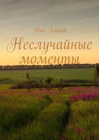Нил Плёсов. Неслучайные моменты