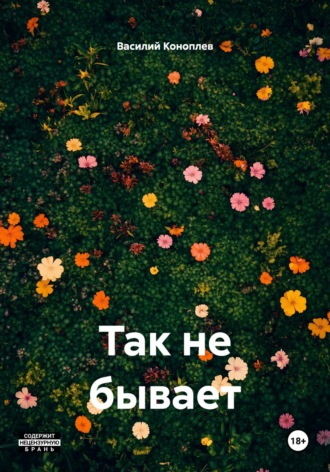 Василий Коноплев. Так не бывает