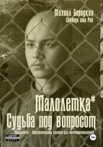 Михаил Бородкин. Малолетка*. Судьба под вопросом