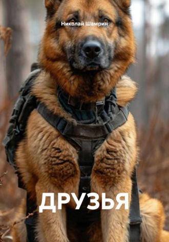 Николай Шамрин. ДРУЗЬЯ