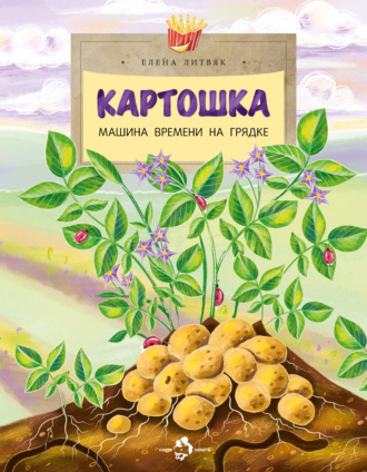 Елена Литвяк. Картошка. Машина времени на грядке