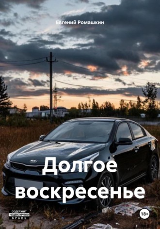 Евгений Ромашкин. Долгое воскресенье