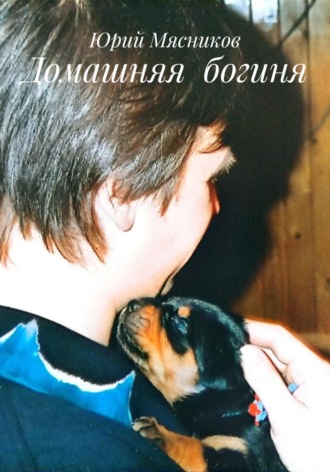 Юрий Мясников. Домашняя богиня