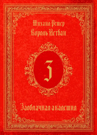 Михаил Ремер. Король Истван. Книга 3. Заоблачная Академия