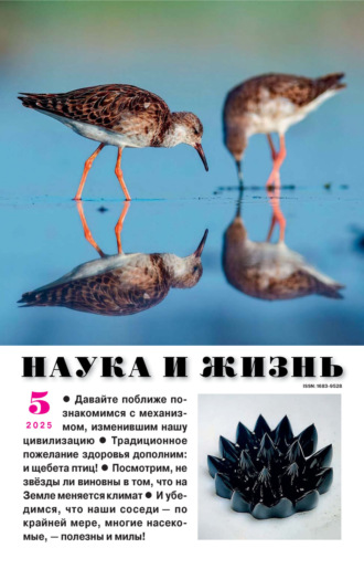 . Наука и жизнь №05/2025