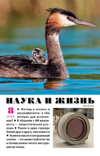 . Наука и жизнь №08/2025