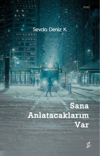 Sevde Karaömer. Sana anlatacaklarım var