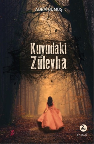 Adem Gümüş. Kuyudaki züleyha