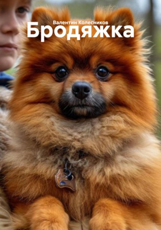 Валентин Колесников. Бродяжка