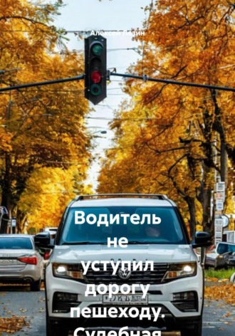 . Водитель не уступил дорогу пешеходу. Судебная практика кассационных судов