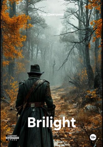 Егор Дмитриев. Brilight