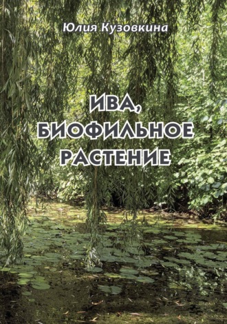 Ю. А. Кузовкина. Ива, биофильное растение