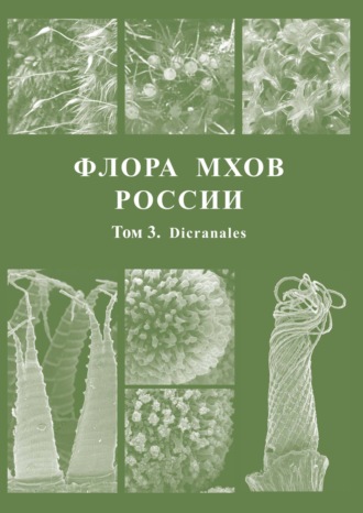 . Флора мхов России. Том 3. Dicranales