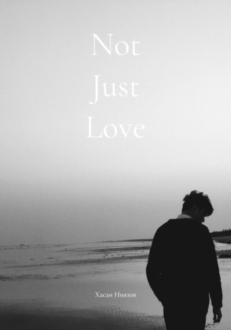 Хасан Тахиржанович Ниязов. Not Just Love