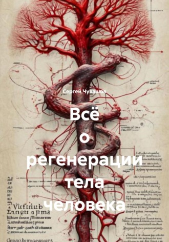 . Всё о регенерации тела человека