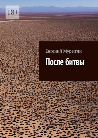 Евгений Мурыгин. После битвы
