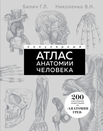 . Популярный атлас анатомии человека. 200 классических иллюстраций из «Анатомии Грея»