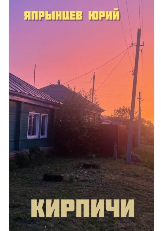 Юрий Анатольевич Япрынцев. Кирпичи