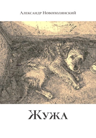 Александр Новополянский. Жужа