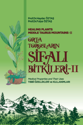 авторов HBR Коллектив. ORTA TOROSLARIN ŞİFALI BİTKİLERİ – II