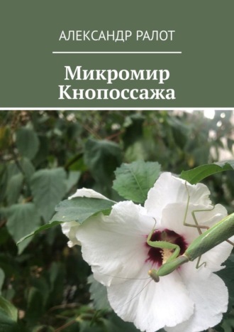 Александр Ралот. Микромир Кнопоссажа