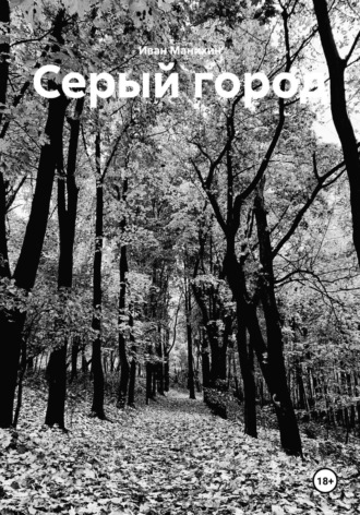 . Серый город