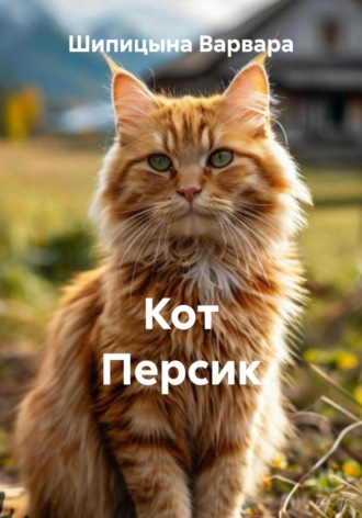 . Кот Персик
