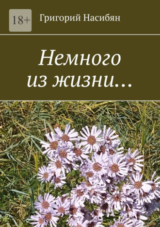 . Немного из жизни…
