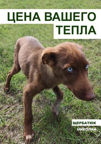 . Цена вашего тепла