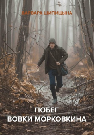Варвара Евгеньевна Шипицына. Побег Вовки Морковкина
