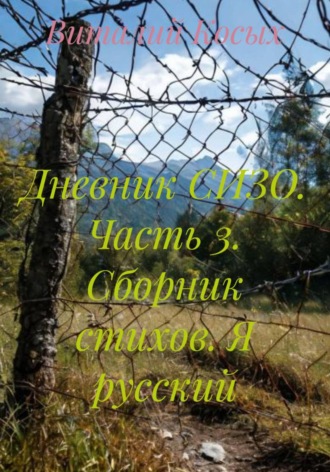 Виталий Александрович Косых. Дневник СИЗО. Часть 3. Сборник стихов. Я русский