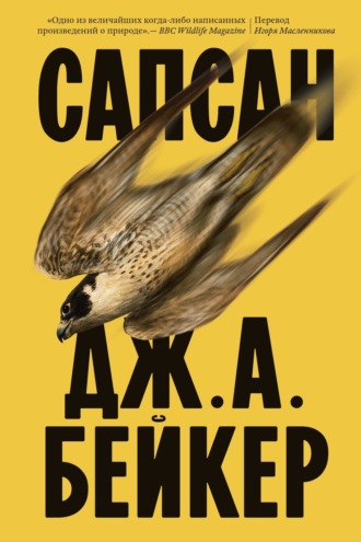 Джон Алек Бейкер. Сапсан