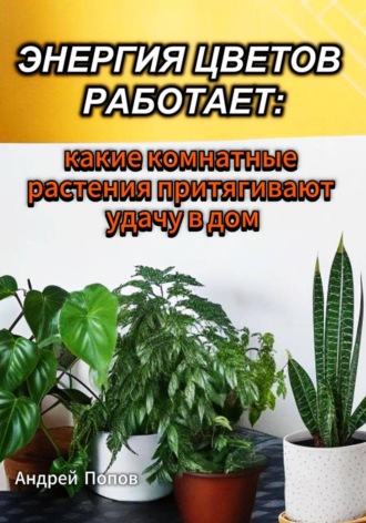Андрей Попов. Энергия цветов работает: какие комнатные растения притягивают удачу в дом