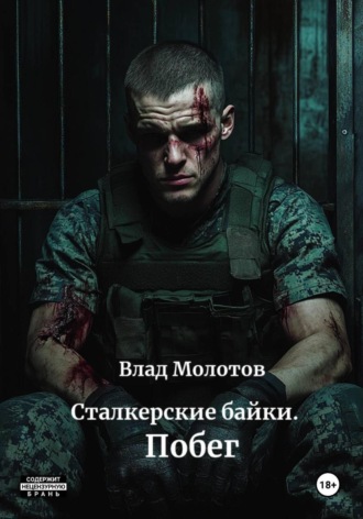Влад Молотов. Сталкерские байки. Побег