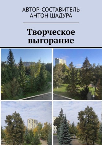 Антон Анатольевич Шадура. Творческое выгорание
