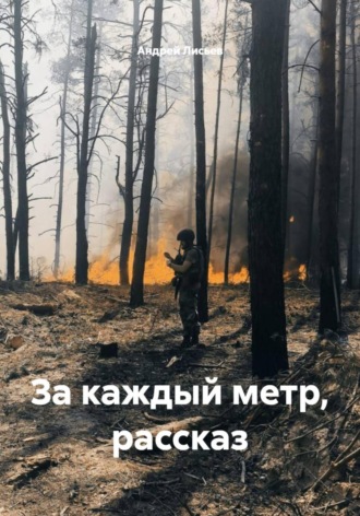 Андрей Лисьев. За каждый метр. Рассказ