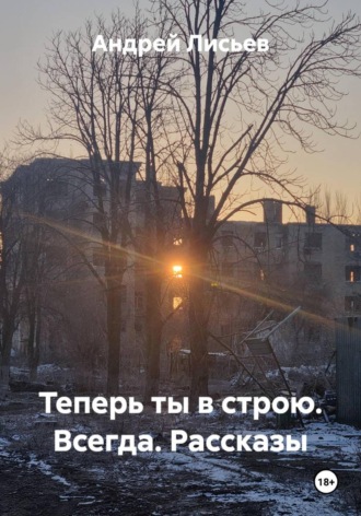 Андрей Лисьев. Теперь ты в строю. Всегда. Рассказы