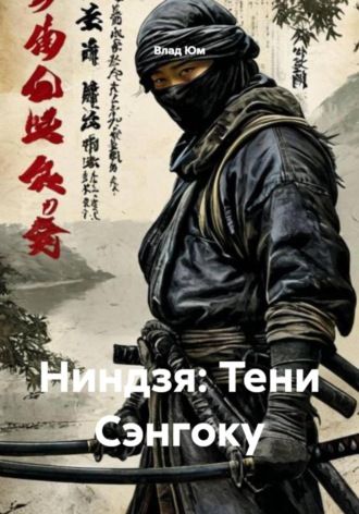 Влад Юм. Ниндзя: Тени Сэнгоку