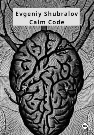 Evgeniy Shubralov. Calm Code