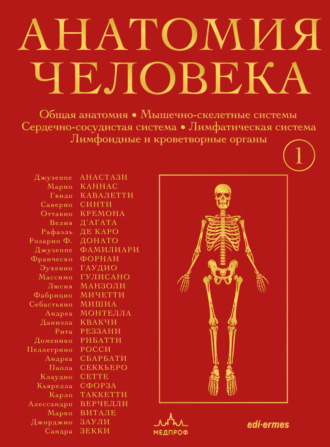 . Анатомия человека. Эксклюзивное издание с 50-летней историей. Том 1