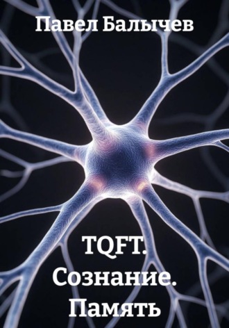 Павел Андреевич Балычев. TQFT. Сознание. Память