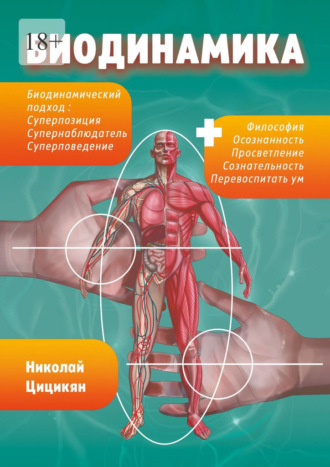Николай Георгиевич Цицикян. Биодинамика. Биодинамический подход: суперпозиция, супернаблюдатель, суперповедение