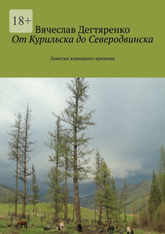 Вячеслав Дегтяренко. От Курильска до Северодвинска. Заметки ковидного времени