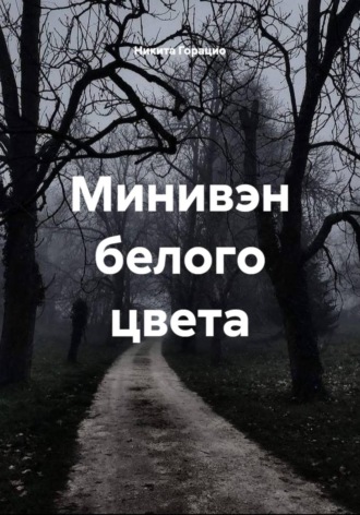 Никита Горацио. Минивэн белого цвета