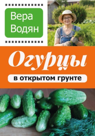 Вера Водян. Огурцы в открытом грунте