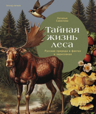 Наталья Савилова. Тайная жизнь леса. Русская природа в фактах и зарисовках