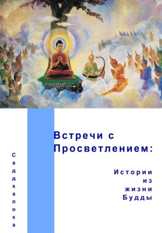Саддхалока (Дэвид Люс). Встречи с Просветлением: истории из жизни Будды