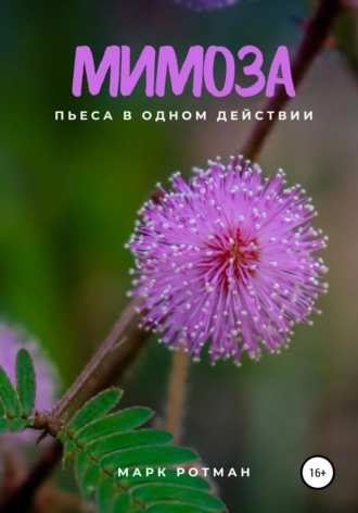 Марк Ротман. Мимоза