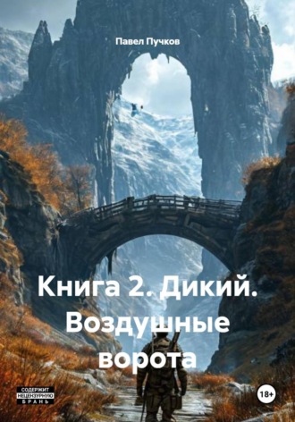 Павел Владиславович Пучков. Книга 2. Дикий. Воздушные ворота
